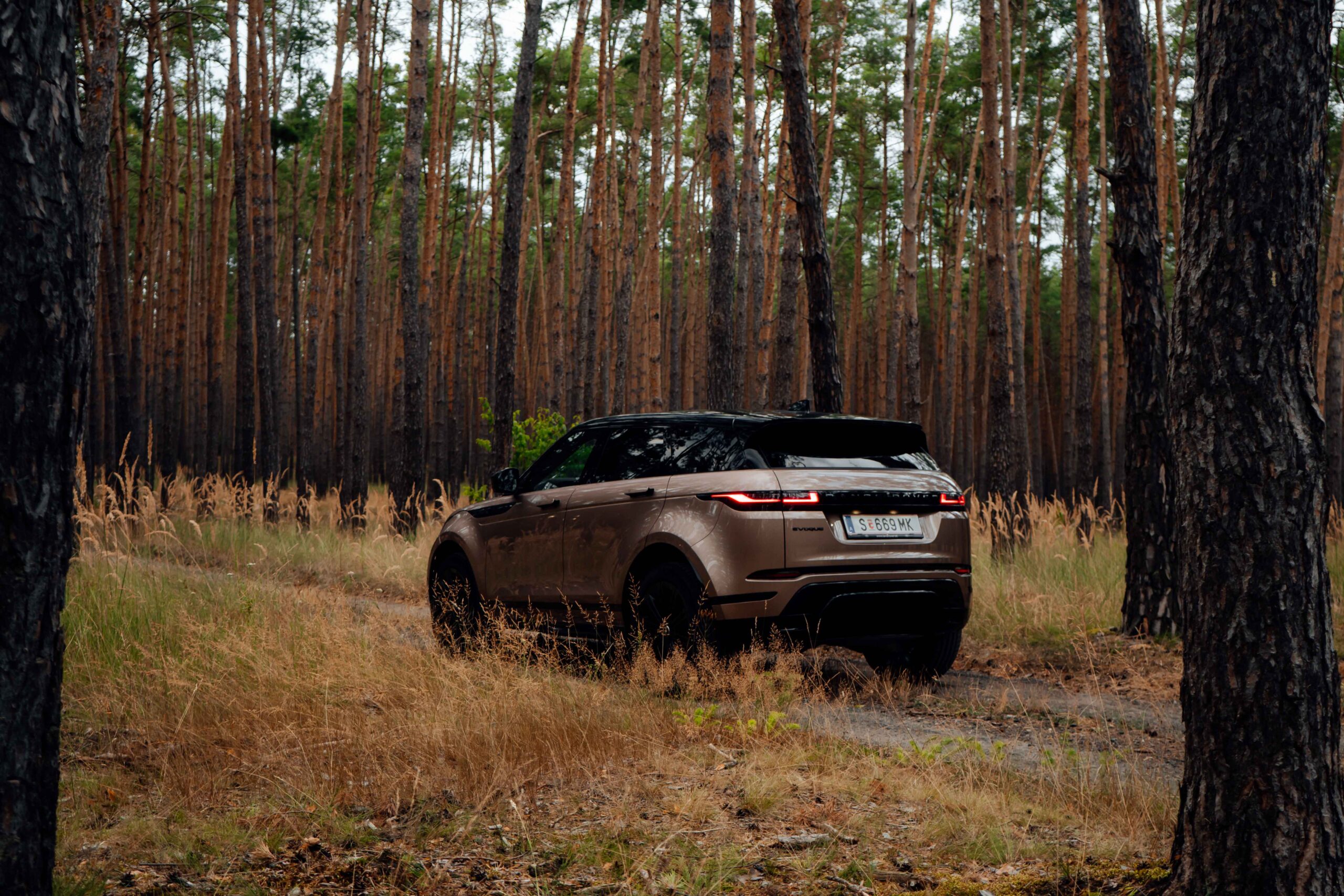 Evoque