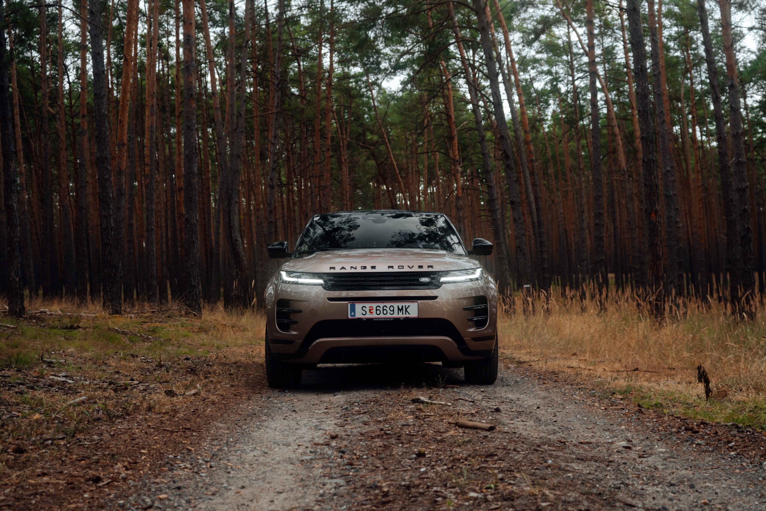 Evoque